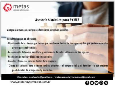 FLYER asesoria sistemica p pymes2